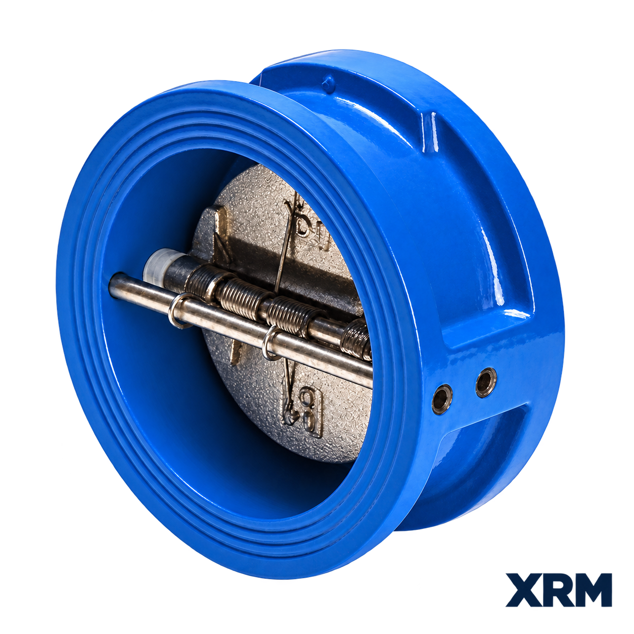 Check Valves product example