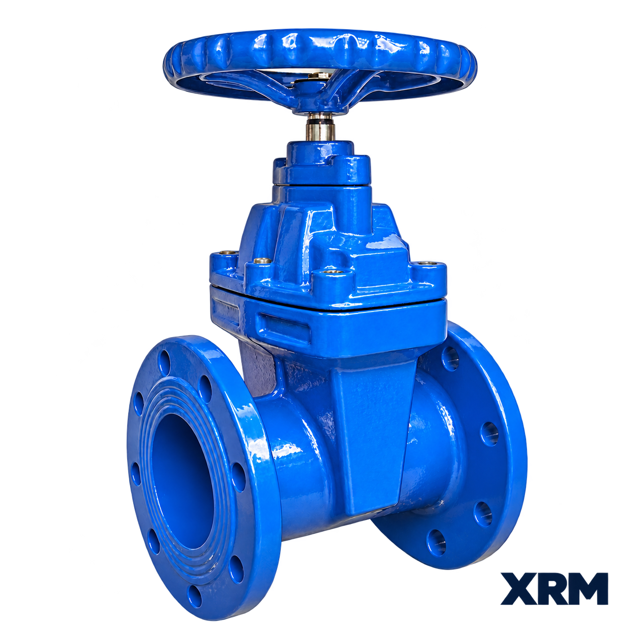 Gate Valves product example